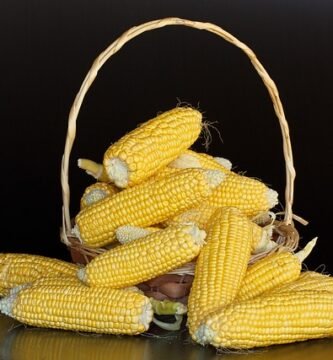 ¿El almidón de maíz tiene gluten? Maicena, fécula y dud