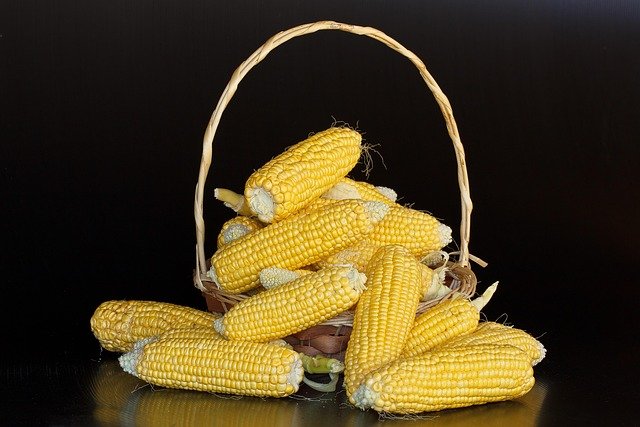 ¿El almidón de maíz tiene gluten? Maicena, fécula y dud