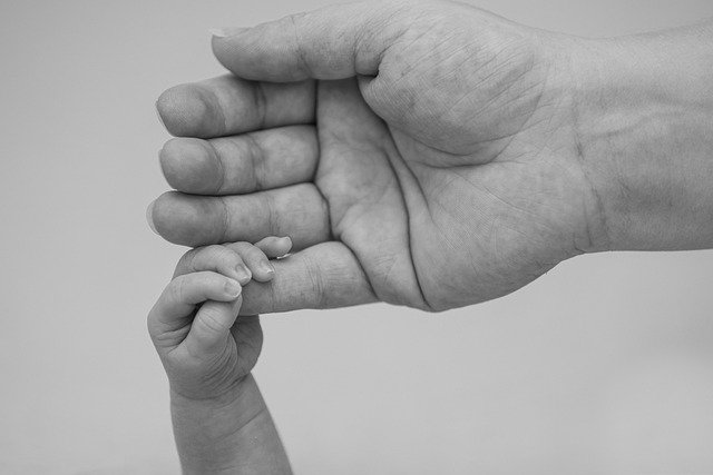 ¿La celiaquía es hereditaria? Genes, familia y riesgo