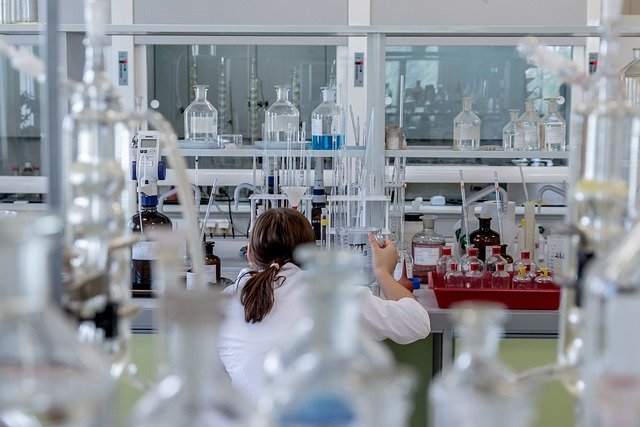 Proceli es sin gluten: Guía completa de productos segur