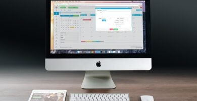 productos Nattura opiniones celíacos