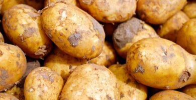 Productos sin gluten baratos sin sacrificar calidad: gu