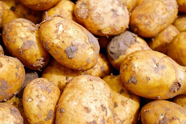 Productos sin gluten baratos sin sacrificar calidad: gu