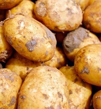 kinnikinnick comparativa con otras marcas sin gluten