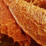 Ortiz Sin Gluten vs Schar