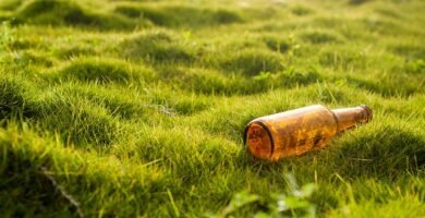 San Miguel sin gluten es apto para celíacos