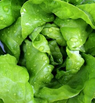 Florette ensaladas sin gluten contaminación cruzada