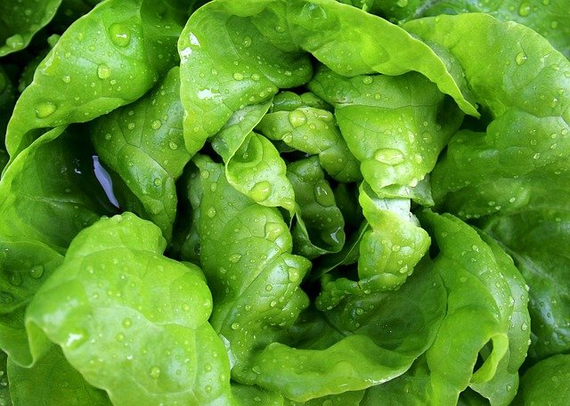 Florette ensaladas sin gluten contaminación cruzada