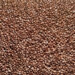 Heinz Baked Beans Sin Gluten