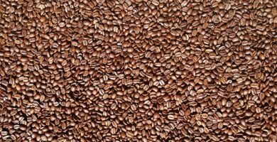 Heinz Baked Beans Sin Gluten